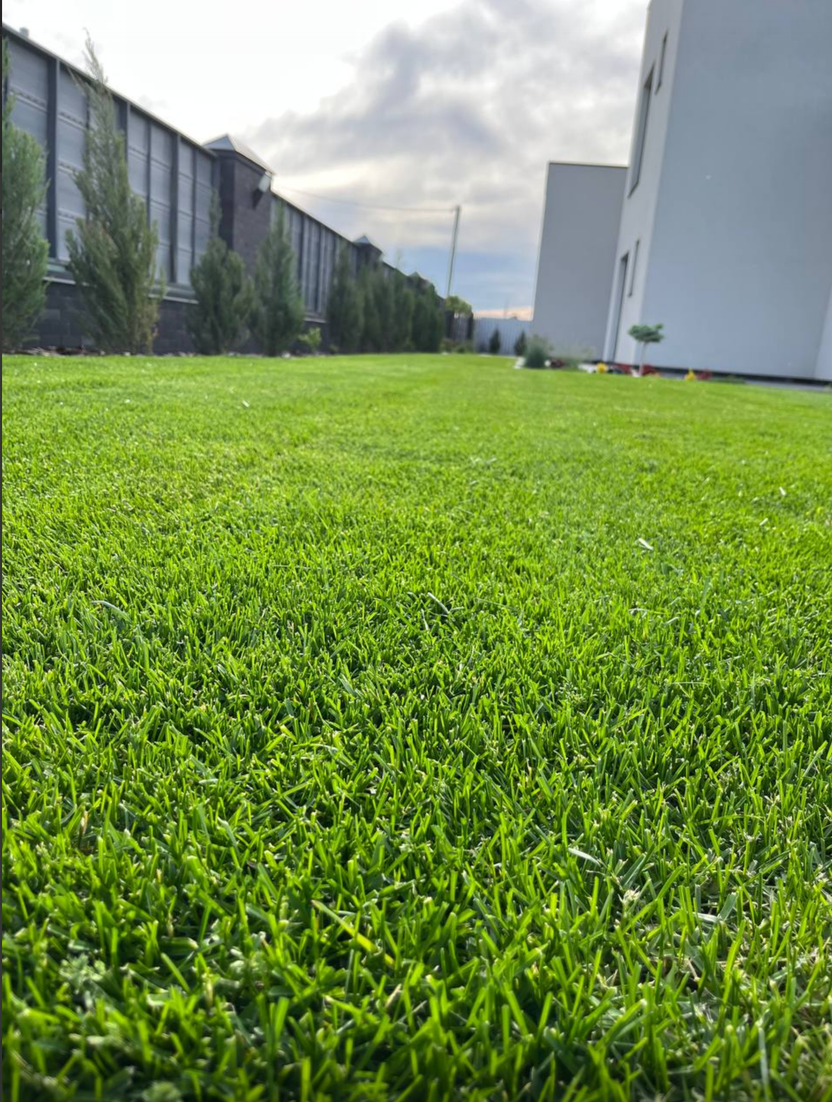 Ірпінь - Фото 1