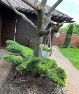 Переяслав - Фото 3