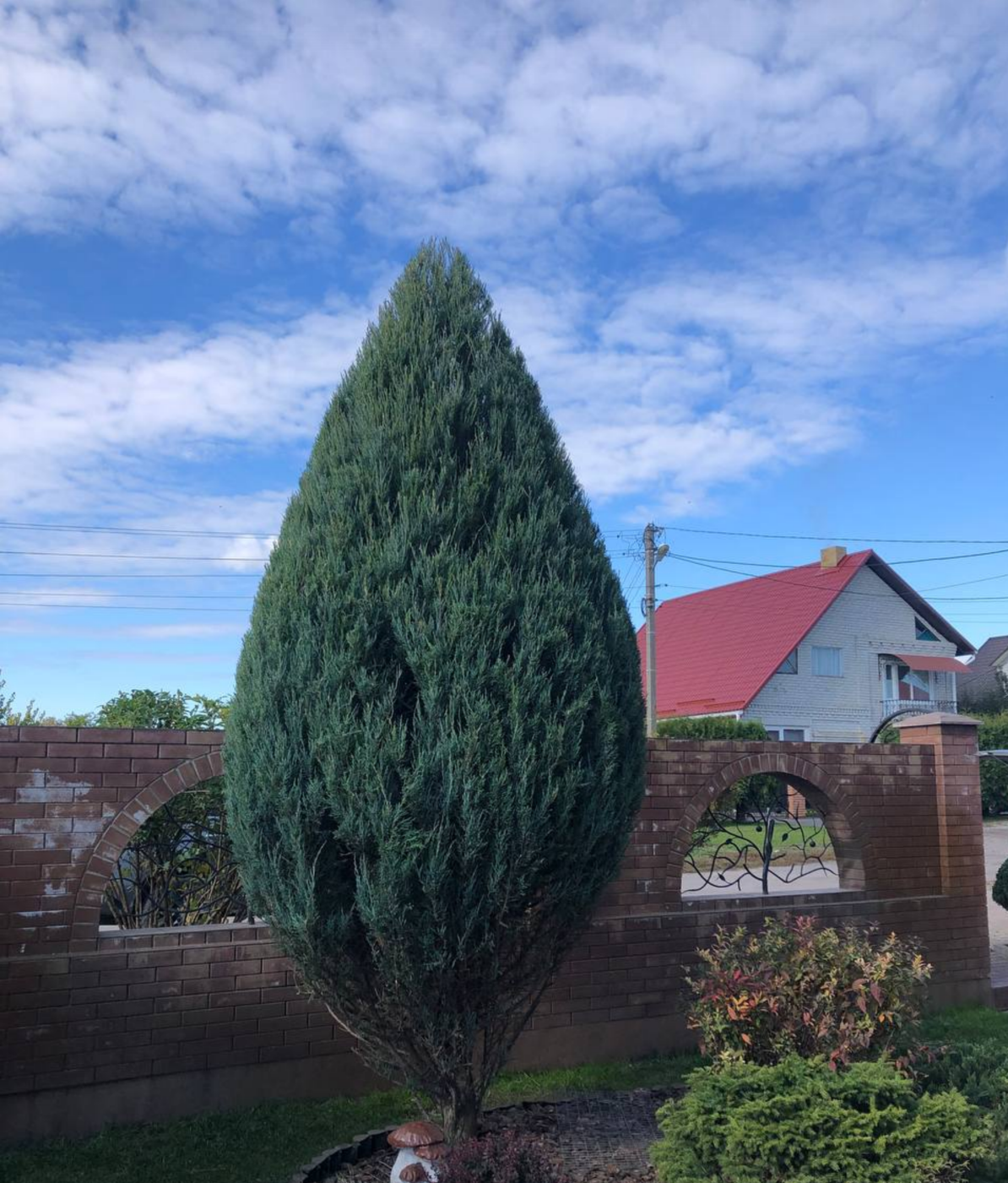 Яготин - Фото 1